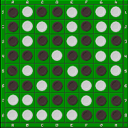 damier du jeu